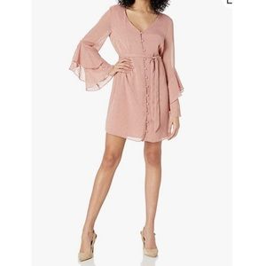 Mauve Metallic Dot Chiffon Dress w/ Ruffle Sleeve